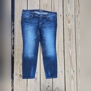 Torrid Dark Wash Skinny Jeans